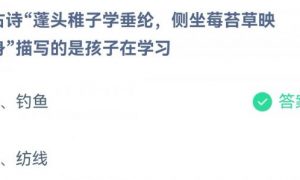 小鸡庄园最新的答案6.2 小鸡庄园今天答案最新
