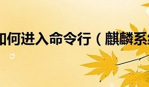 麒麟系统进入命令行界面方法 麒麟系统如何进入命令行界面