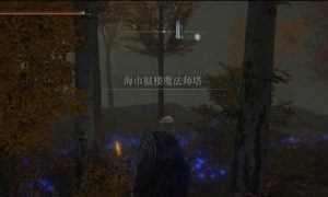 艾尔登法环隐身魔法怎么获得 艾尔登法环隐身魔法获得方法