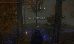 艾尔登法环隐身魔法怎么获得 艾尔登法环隐身魔法获得方法