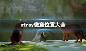 stray徽章有几个 stray徽章收集