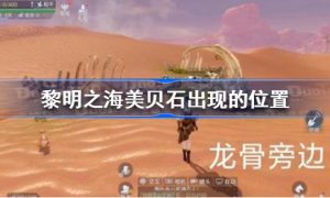 黎明之海美贝石在哪里 黎明之海美贝石出现的位置