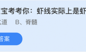 小鸡庄园最新的答案7.26 小鸡庄园最新答题7.26