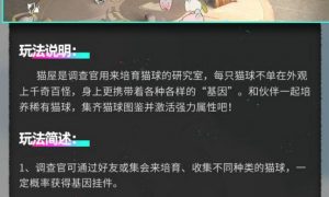 猫之城猫球怎么获得 猫之城猫球获取方法大全一览