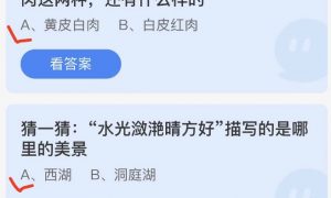 小鸡庄园最新的答案7.9 小鸡庄园今天答案最新