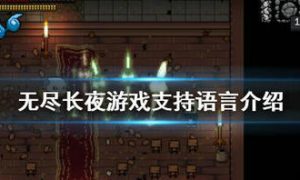 无尽长夜游戏有中文吗 无尽长夜游戏支持语言介绍