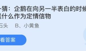 小鸡庄园今天答案最新8.4 小鸡庄园最新的答案8.4 