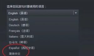 saintsrow怎么调中文 saintsrow怎么设置中文