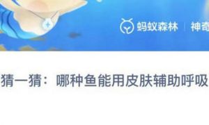 神奇海洋今日答案最新9.5 神奇海洋今日答案9月5日