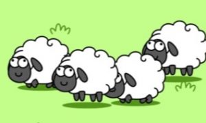 羊了个羊有什么规律 羊了个羊规律介绍