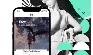 ibox数字藏品平台官网 ibox数字藏品平台网站