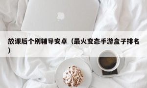 放课后个别辅导安卓（最火变态手游盒子排名）