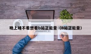 晚上睡不着想看b站正能量（B站正能量）