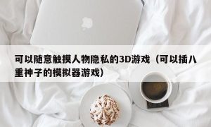 可以随意触摸人物隐私的3D游戏（可以插八重神子的模拟器游戏）
