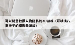 可以随意触摸人物隐私的3D游戏（可以插八重神子的模拟器游戏）