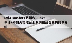 Lvl3Toaster1月新作：D.va中计+不知火舞擂台全系列精品合集的简单介绍
