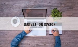 美德v21（美德V20）