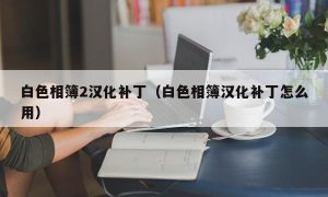 白色相簿2汉化补丁（白色相簿汉化补丁怎么用）