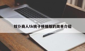 奴仆商人tk桃子移植版的简单介绍