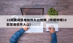 18款夜间禁用软件入口视频（哔哩哔哩18款禁用软件入口）