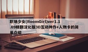 职场少女(RoomGirl)ver1.1.69精翻汉化版3D互动神作+人物卡的简单介绍