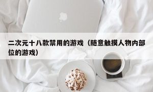 二次元十八款禁用的游戏（随意触摸人物内部位的游戏）