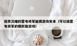 捉弄沉睡的雷电将军触摸游戏安卓（可以插雷电将军的模拟器游戏）