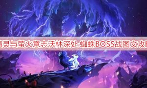 精灵与萤火意志沃林深处·蜘蛛BOSS战图文攻略