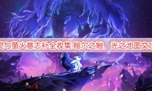 精灵与萤火意志补全收集·鲍尔之触、光之池图文攻略