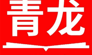 掌上青龙