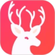 白鹿直播平台 1.0.11 免费版