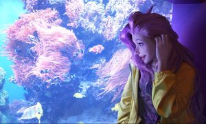 还在找火柴人联盟2下载？这里有你想要的
