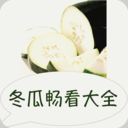 冬瓜畅看大全小说2025最新版