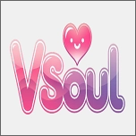 vsoul.ai聊天2026  v2.5.8