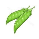 扁豆小说  V1.18.0