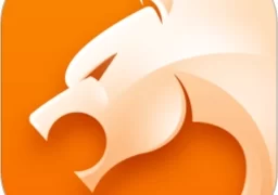 猎豹浏览器纯净版  v5.28.1