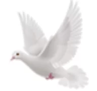 逍遥阁小说  V1.0.8