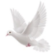 逍遥阁小说  V1.0.8