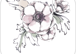 花田小憩  v7.1.2