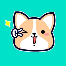 有点皮安卓版  v2.1.0