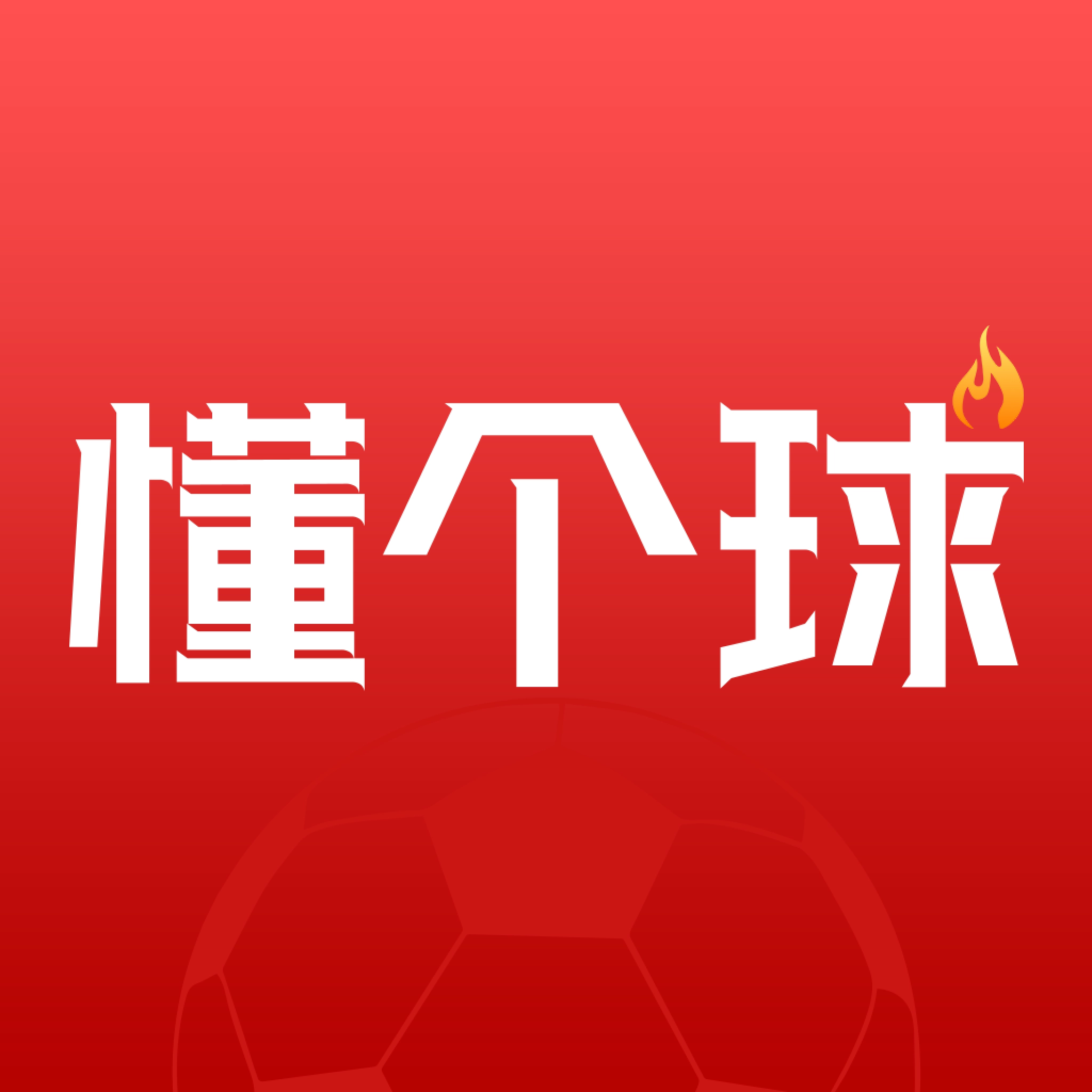 懂个球  V8.3.6