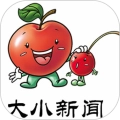 大小新闻中文版  V5.0.4