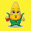 玉米网安卓版  v1.2