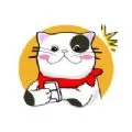 猫番阅读app官方版  V1.0.11