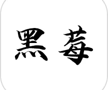 黑莓小说去广告版  V1.6.0