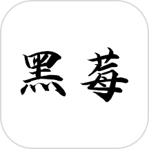 黑莓小说去广告版  V1.6.0