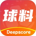 球料网  V3.7.4