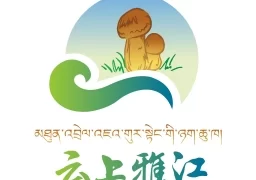 云上雅江最新版  v1.3.0 最新版