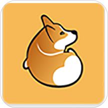 corgi