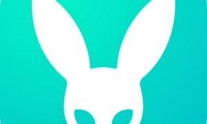 Qing耿乐新交友app